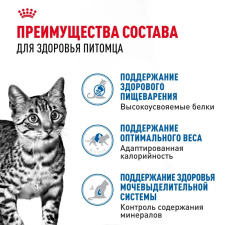 Влажный корм ROYAL CANIN Indoor Sterilised для взрослых кастрированных и стерилизованных кошек, живущих в помещении, кусочки в желе, 85г