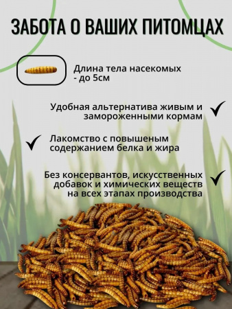Лакомство ONTO для насекомоядных животных, Чёрная львинка, консервированная, 40г