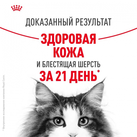 Влажный корм ROYAL CANIN Hair&Skin, для взрослых кошек, идеальная кожа и шерсть, тонкие кусочки в желе, 85г