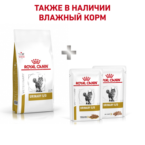 rfhyxh37d22g2moim19fsrhccxu26fty