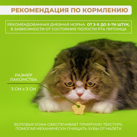 Лакомство Ranova для кошек, сублимированное, Звёздочка для зубов с курицей и морковью, 6г