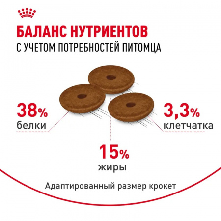 Сухой корм ROYAL CANIN Digestive care для взрослых кошек с чувствительной пищеварительной системой старше 1 года, 400г