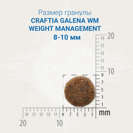 Сухой корм CRAFTIA GALENA Cat Weight Management для взрослых кошек, при избыточном весе, 1,4 кг