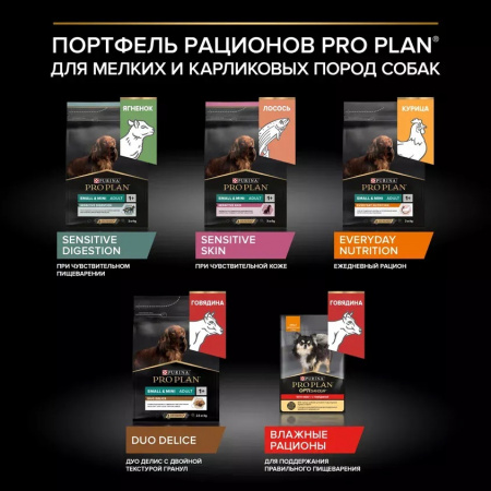 Сухой корм Purina PRO PLAN Duo Delice для взрослых собак мелких и карликовых пород, с двойной текстурой гранул, с говядиной, 700 г