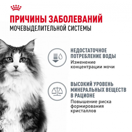 ROYAL CANIN Urinary Care для взрослых кошек для поддержания здоровья мочевыделительной системы, мелкие кусочки в соусе, 85г