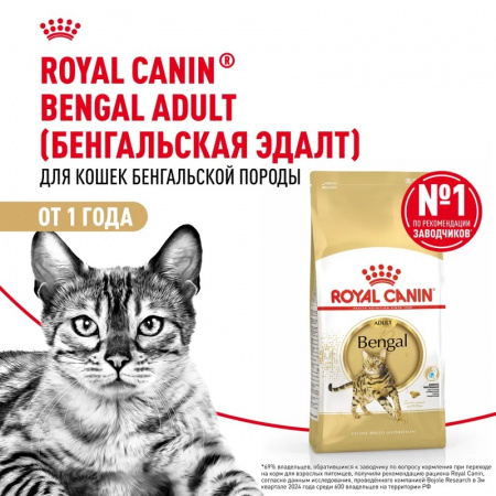 Сухой корм ROYAL CANIN Bengal Adult для взрослых кошек бенгальской породы старше 12 мес, 2кг