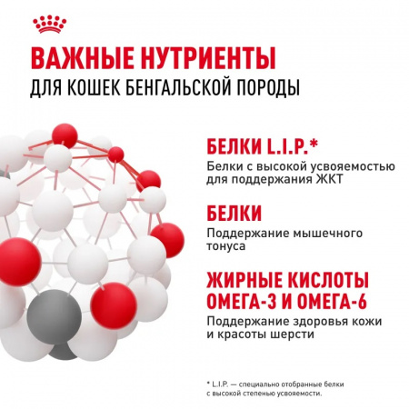 Сухой корм ROYAL CANIN Bengal Adult для взрослых кошек бенгальской породы старше 12 мес, 2кг