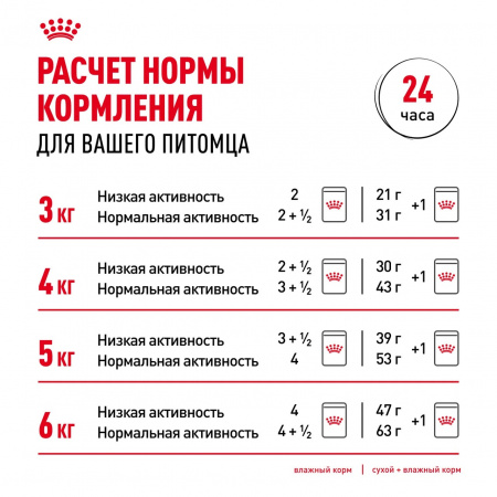 Влажный корм ROYAL CANIN Appetite Control Care для взрослых кошек, для контроля выпрашивания корма, мелкие кусочки в соусе, 85г