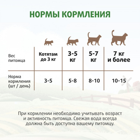 Лакомство Ферма кота Федора для кошек и котят, хрустящие подушечки с паштетом из курицы, 40г