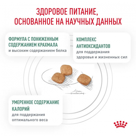 Сухой корм ROYAL CANIN Diabetic для взрослых кошек при сахарном диабете 350г