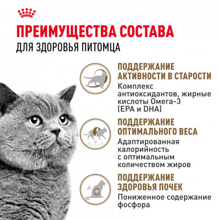 Сухой корм ROYAL CANIN Ageing Sterilised 12+для стерилизованных стареющих кошек в возрасте старше 12 лет, 4кг