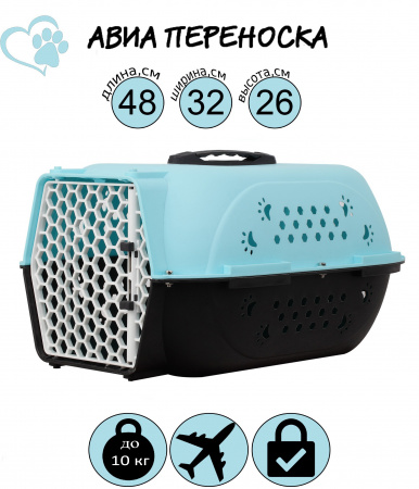 HP-C01S Авиа переноска для домашних животных «Вояж» ТМ Чистый котик, 48*32*26 см, цвет: голубой