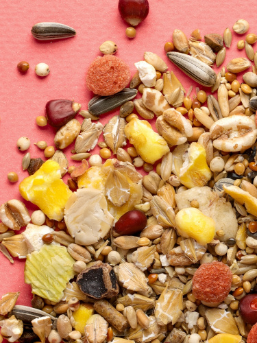 22809_2