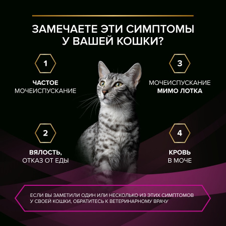 Влажный корм PRO PLAN VETERINARY DIETS UR ST/OX Urinary для кошек, при болезнях нижних отделов мочевыводящих путей, с индейкой, 85г
