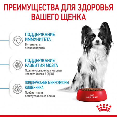 Сухой корм ROYAL CANIN X-Small Puppy, для щенков миниатюрных пород, 3кг