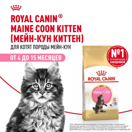 Сухой корм ROYAL CANIN Maine Coon Kitten для котят породы мейн-кун, до 15 месяцев, 10кг