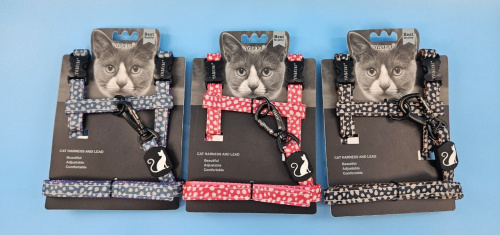 photo_2024-08-14_16-36-08 (2)