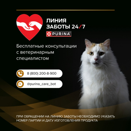 Влажный корм PRO PLAN VETERINARY DIETS NF Renal Function Early Care для кошек, для поддержания функции почек при ХПН, с курицей, 85г