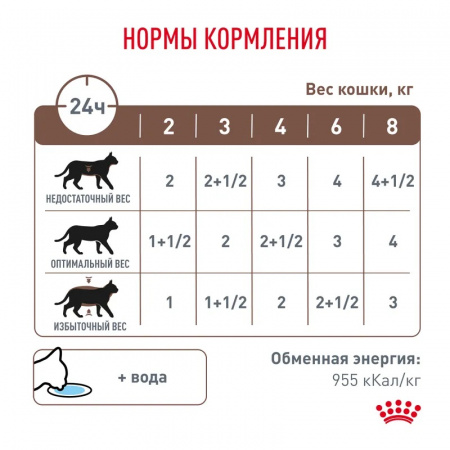 Влажный корм ROYAL CANIN Gastrointestinal для взрослых кошек при расстройствах пищеварения 85г