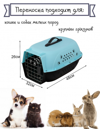HP-В01S Авиа переноска для домашних животных "Чистый котик" 47,5*32,5*25 см голубой