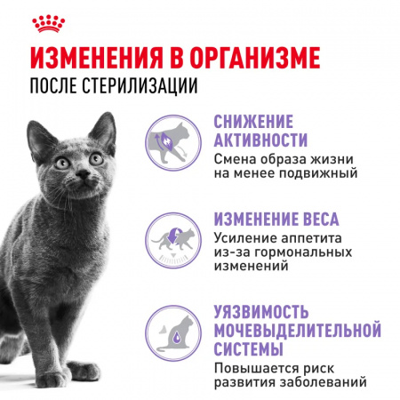 Сухой корм ROYAL CANIN Sterilised-37, для взрослых стерилизованных кошек 1.2кг