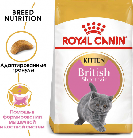 Сухой корм ROYAL CANIN British Shorthair Kitten, британских короткошерстных котят, 400г