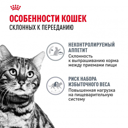 Влажный корм ROYAL CANIN Appetite Control Care для взрослых кошек, для контроля выпрашивания корма, мелкие кусочки в желе, 85г