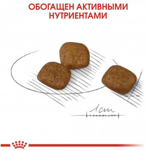 урин3