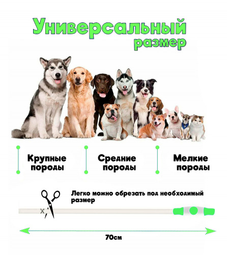 Новый проект (40) (1)