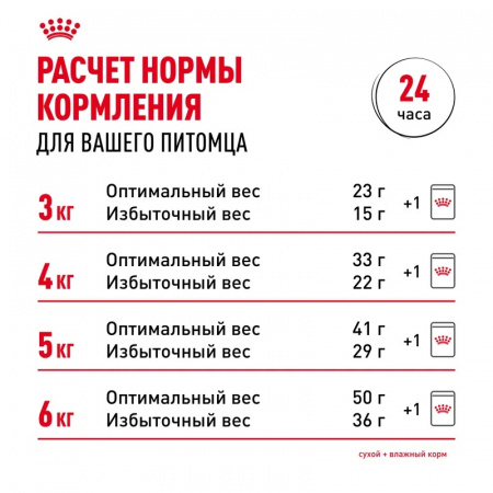 Сухой корм ROYAL CANIN Bengal Adult для взрослых кошек бенгальской породы старше 12 мес, 2кг