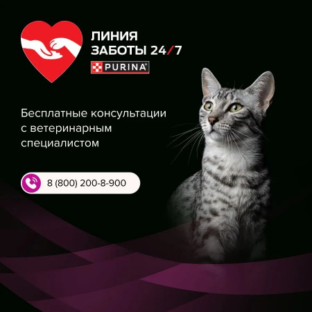 Влажный корм Purina PRO PLAN VETERINARY DIETS UR ST/OX Urinary для взрослых кошек, при болезнях нижних отделов мочевыводящих путей, с лососем, 85г