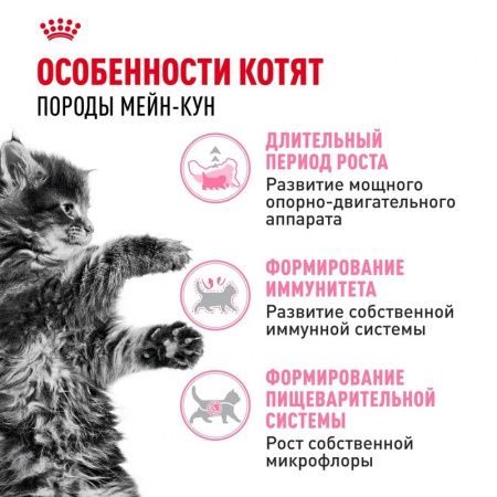 Сухой корм ROYAL CANIN Maine Coon Kitten, для котят породы Мэйн Кун, 400г.
