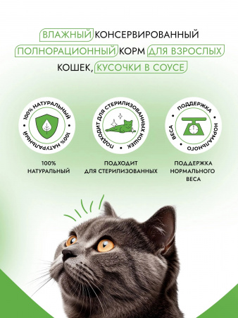 Влажный корм Best Dinner Basic для взрослых кошек, кусочки в соусе, с курицей, 75г