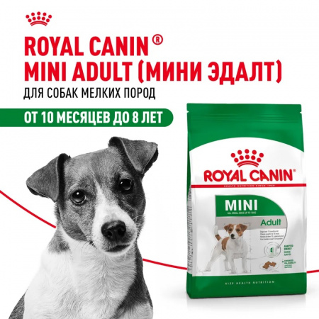 Сухой корм ROYAL CANIN Mini Adult, для взрослых собак мелких размеров от 10 месяцев, 2кг